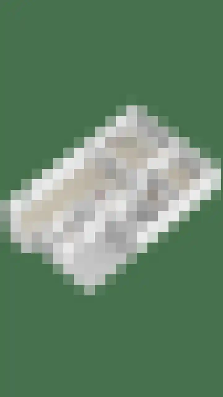 Snepweg 26 Heusden thumbnail 50