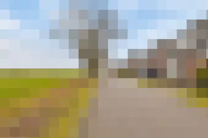 Snepweg 26 Heusden thumbnail 6