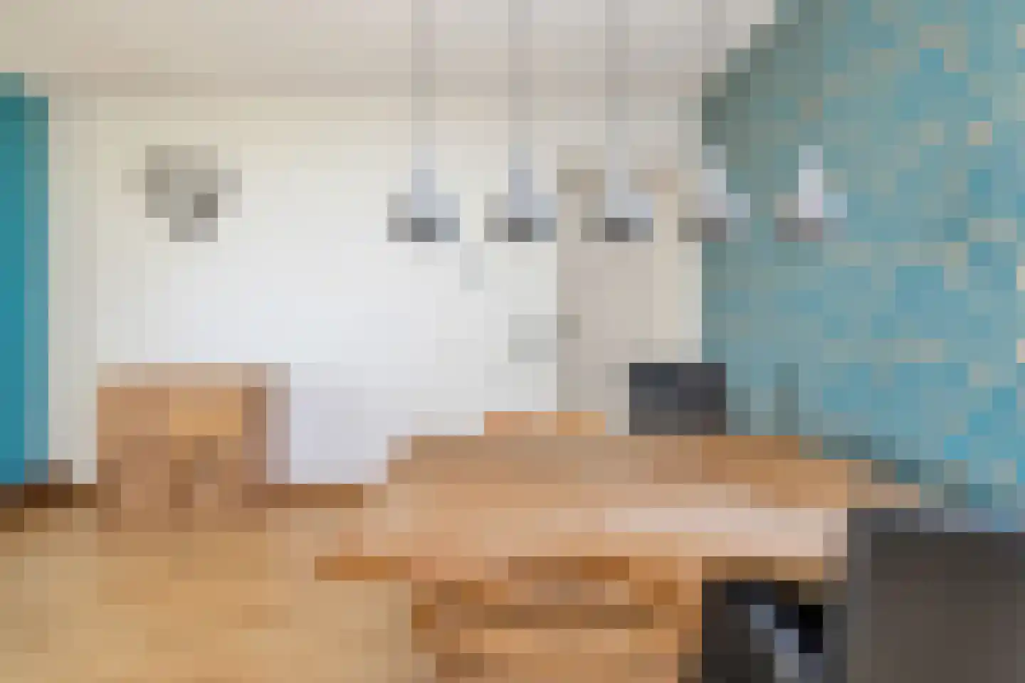 Snevert 1 Schagen thumbnail 13