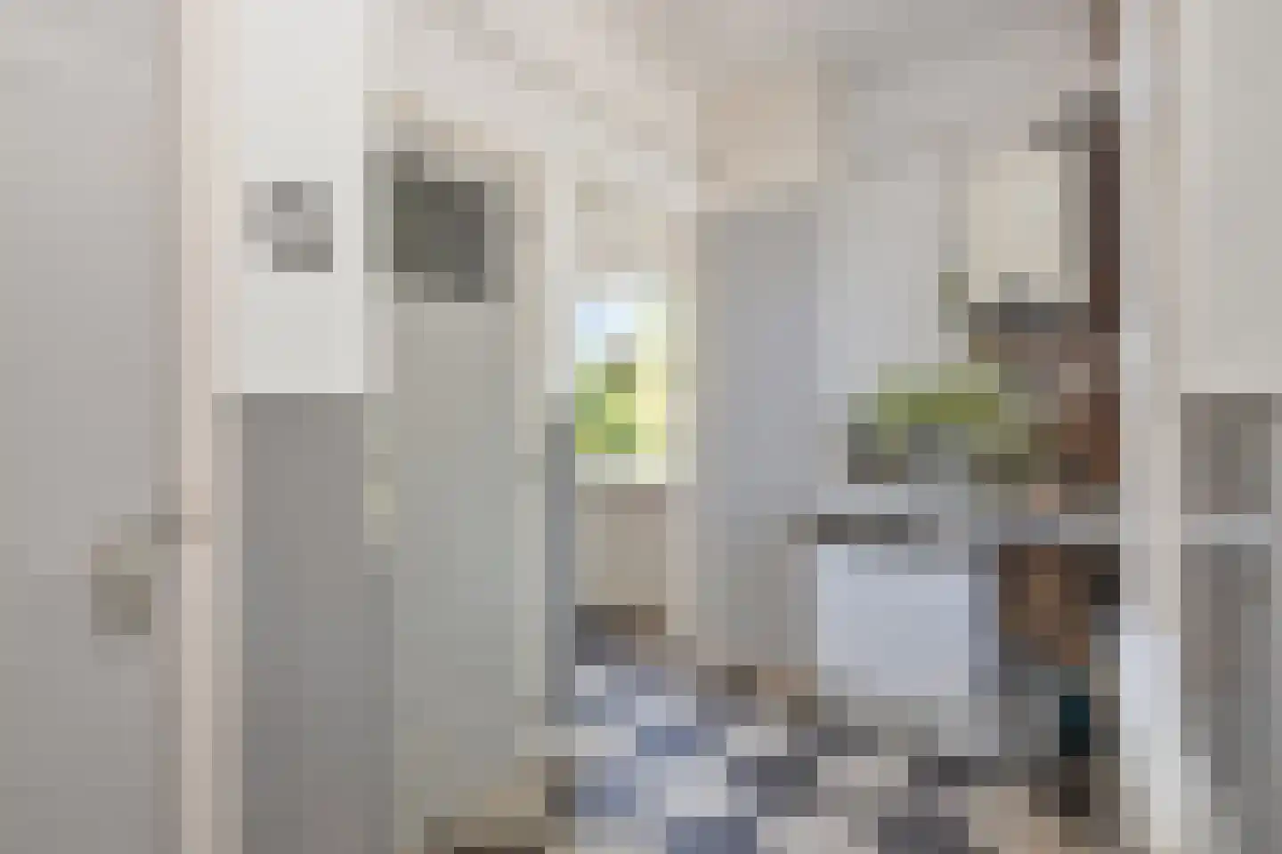Snevert 1 Schagen thumbnail 15