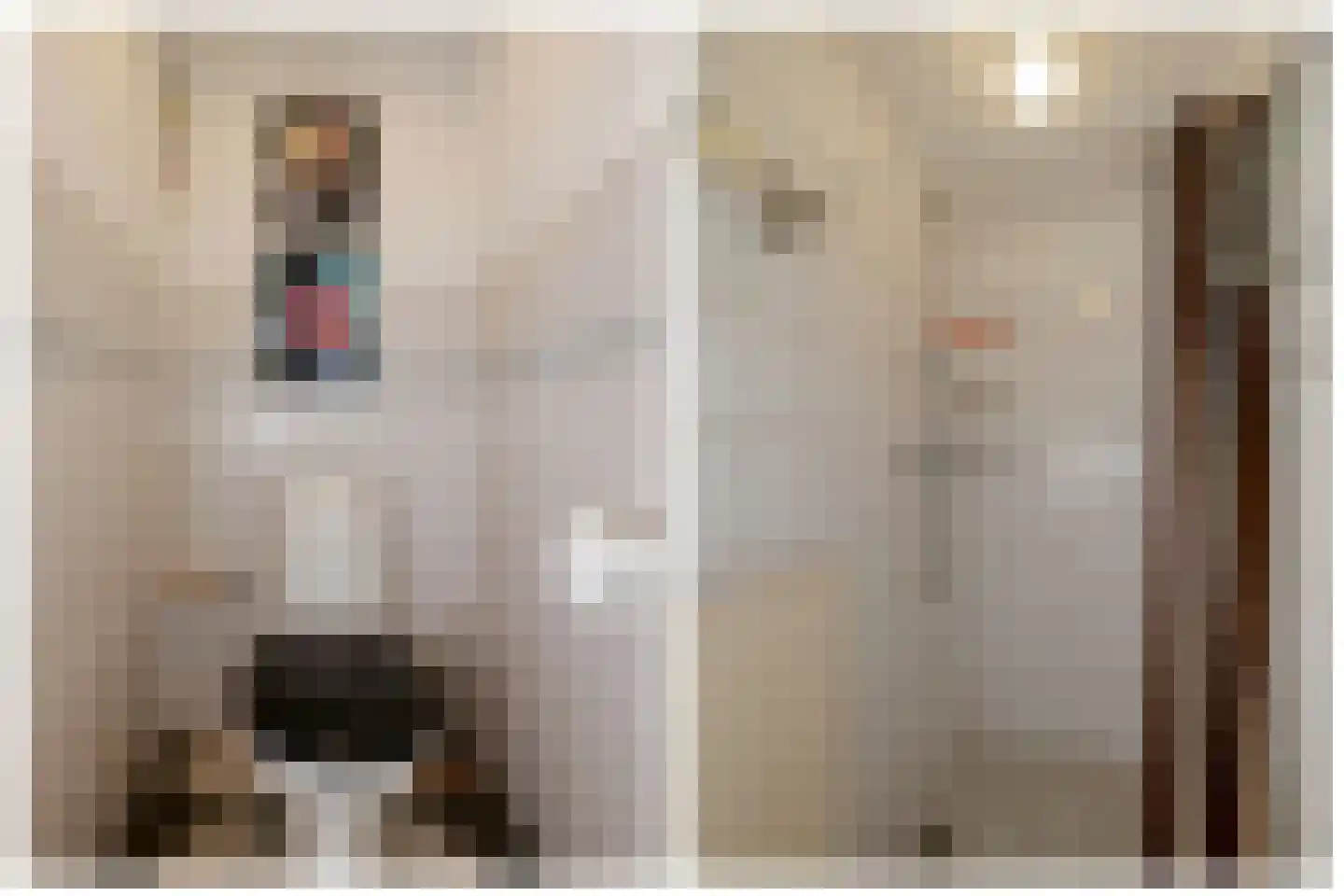Snevert 1 Schagen thumbnail 17