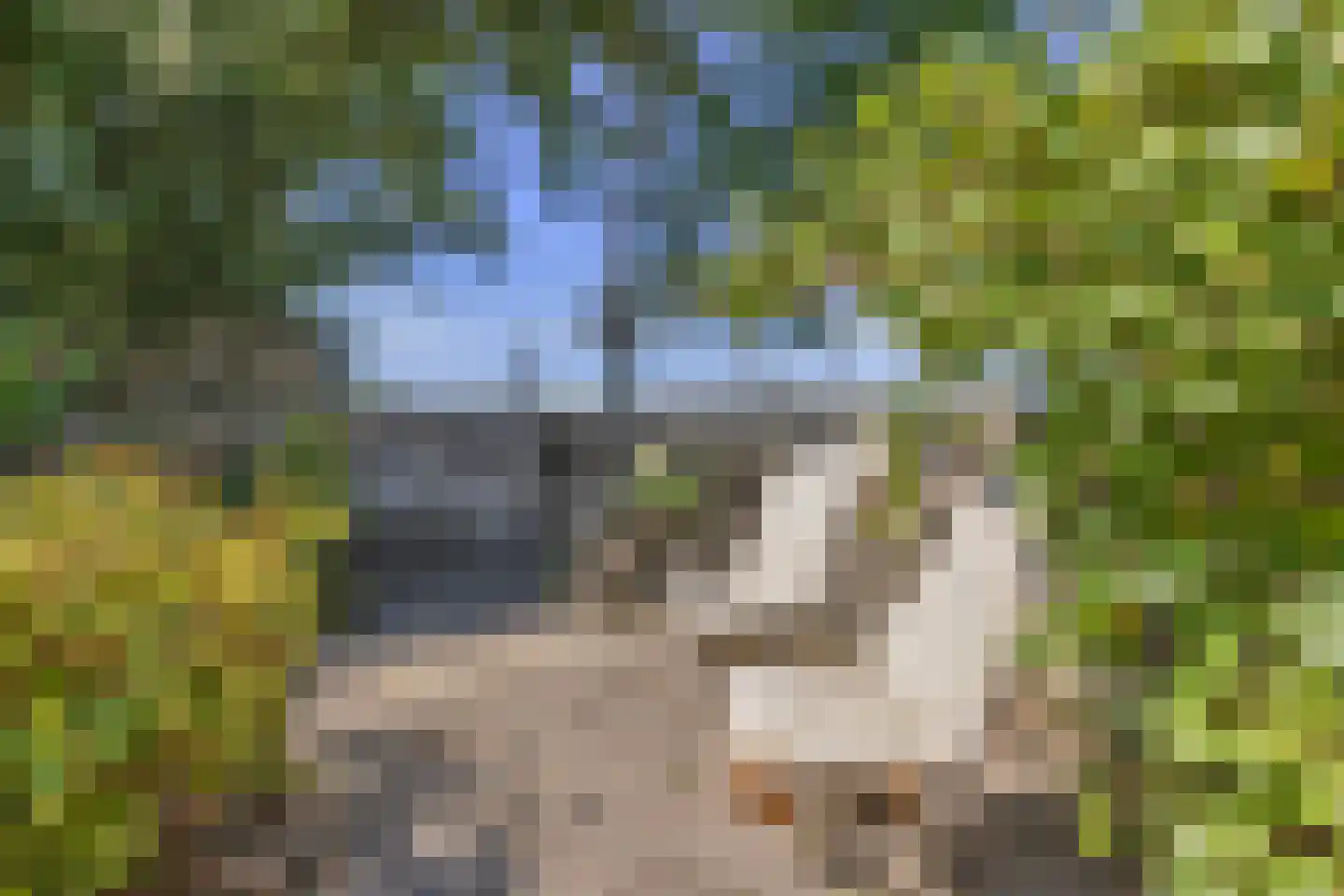 Snevert 1 Schagen thumbnail 31