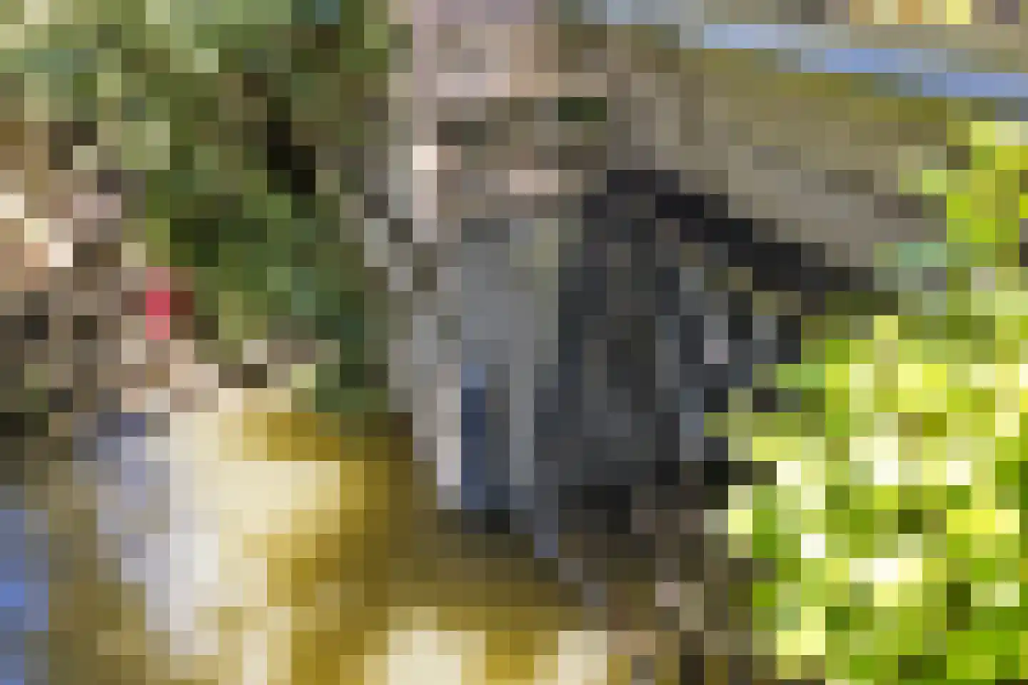 Snevert 1 Schagen thumbnail 33
