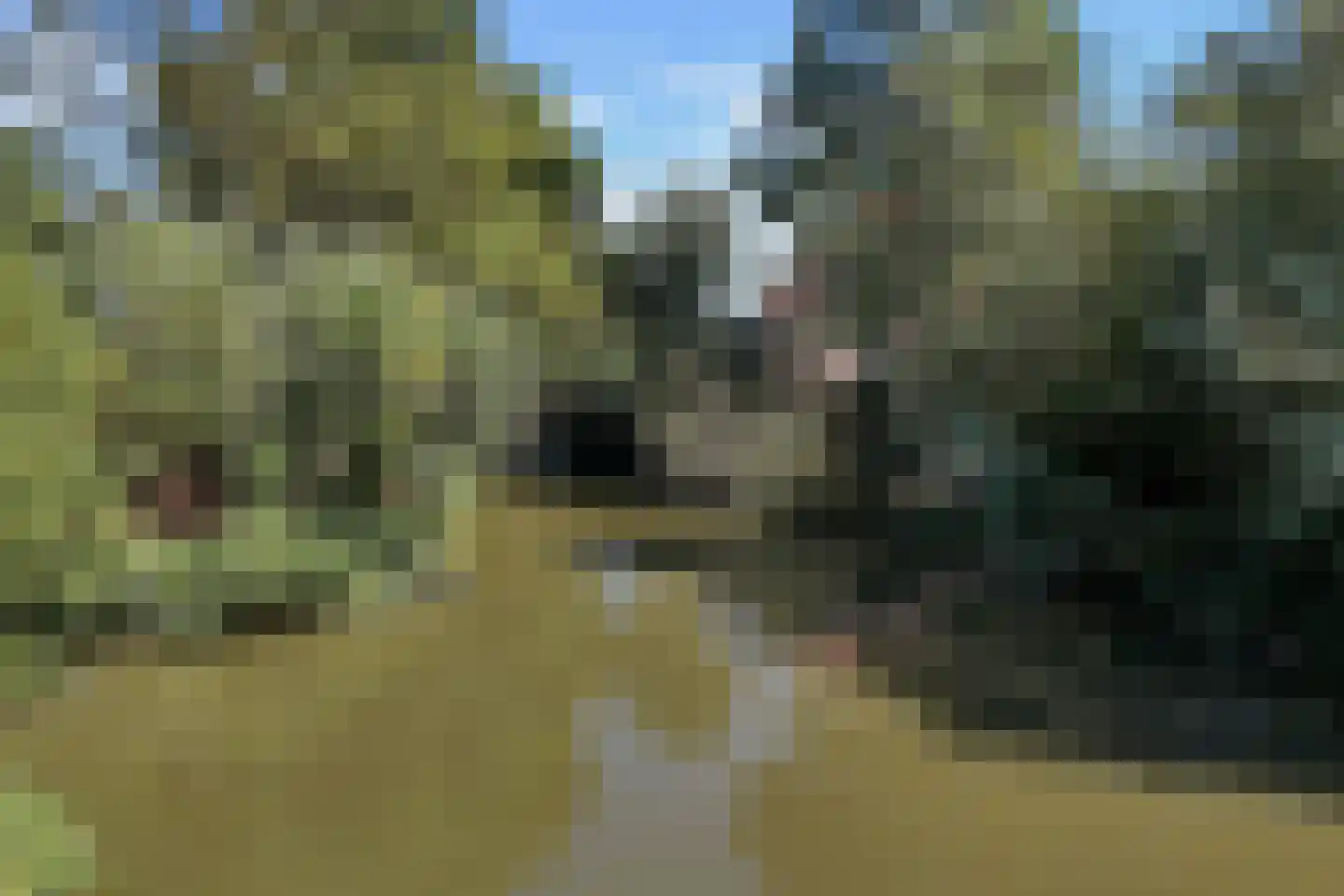 Snevert 1 Schagen thumbnail 34