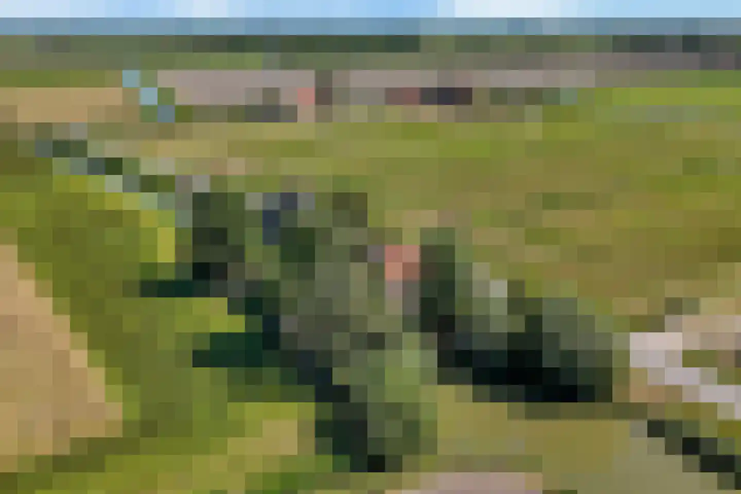 Snevert 1 Schagen thumbnail 46