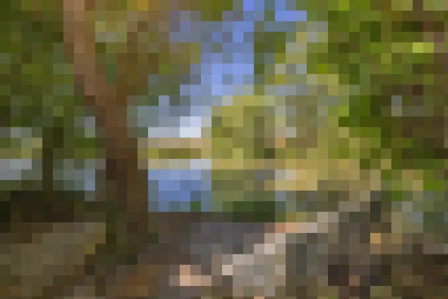 Snevert 1 Schagen thumbnail 5