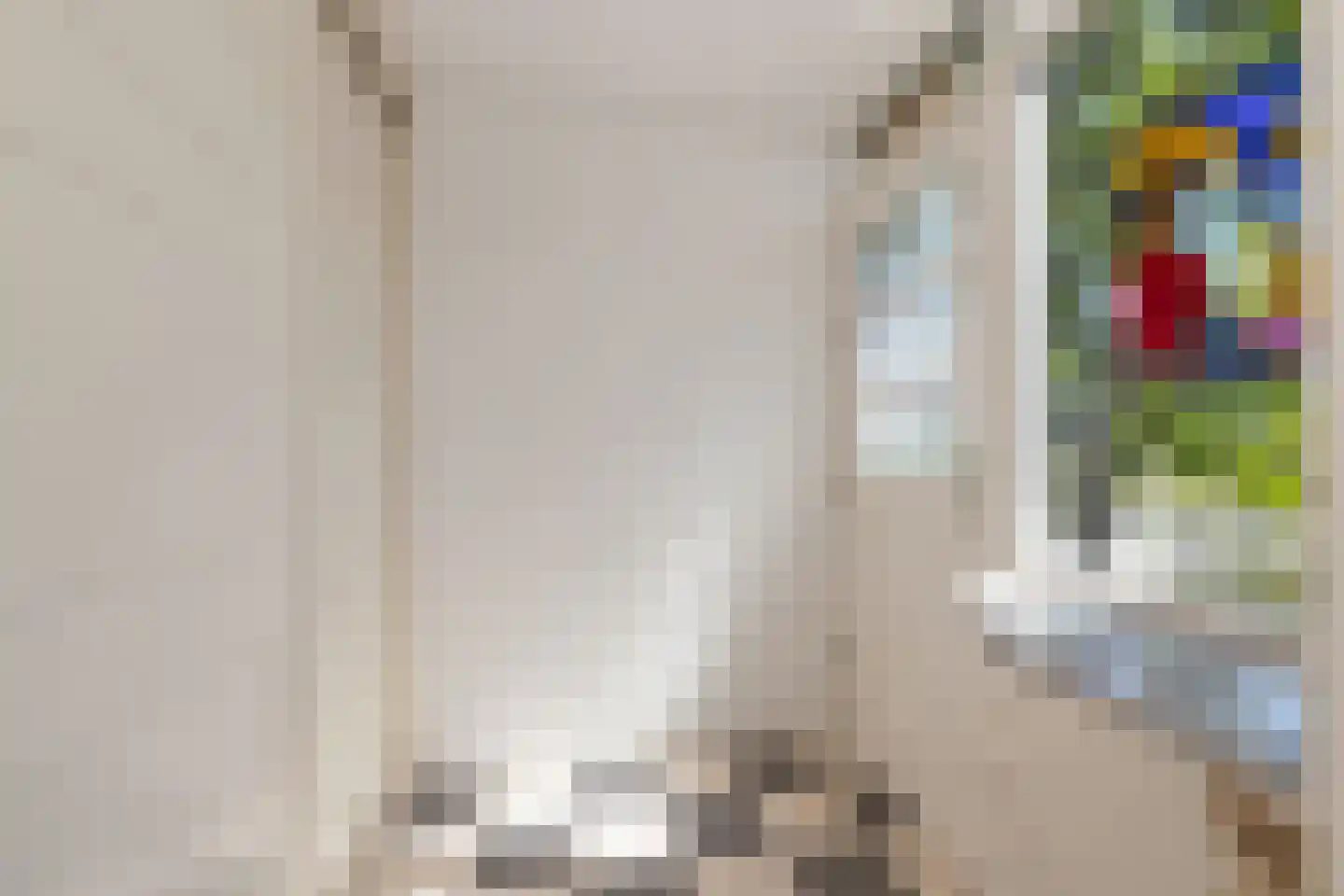 Snevert 1 Schagen thumbnail 6