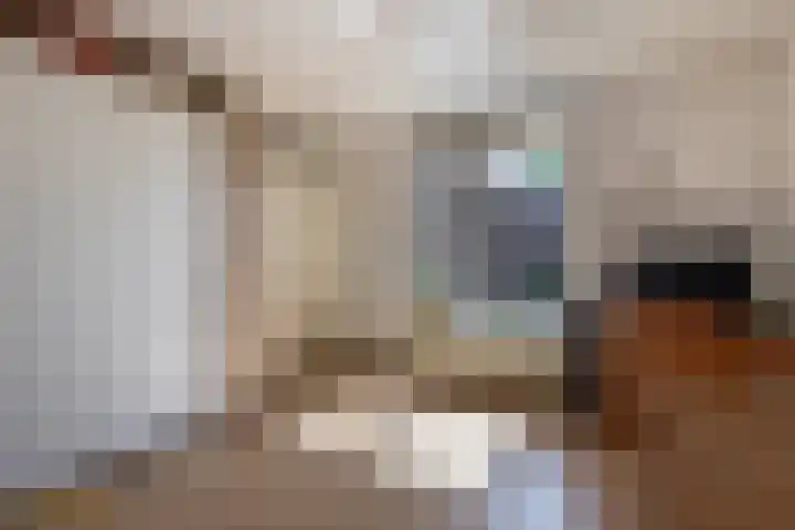 Sni-jershoaf 10 Lomm thumbnail 11