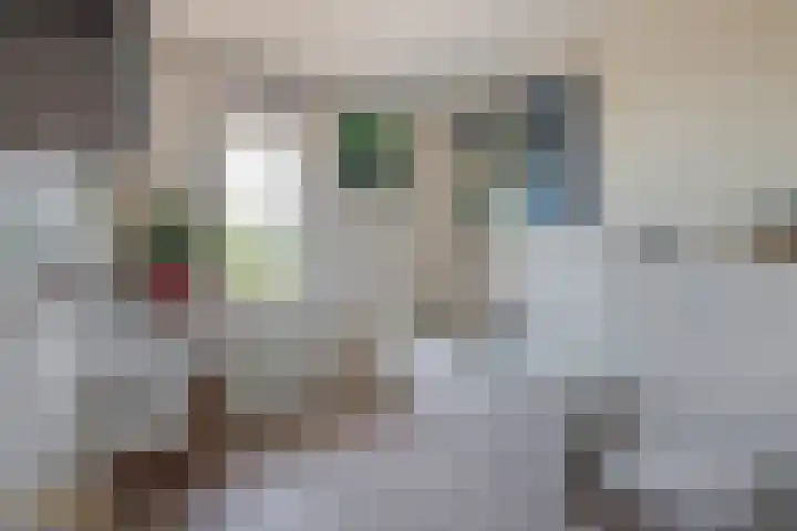 Sni-jershoaf 10 Lomm thumbnail 15
