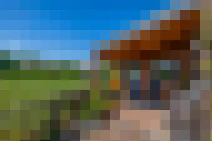 Sni-jershoaf 10 Lomm thumbnail 19
