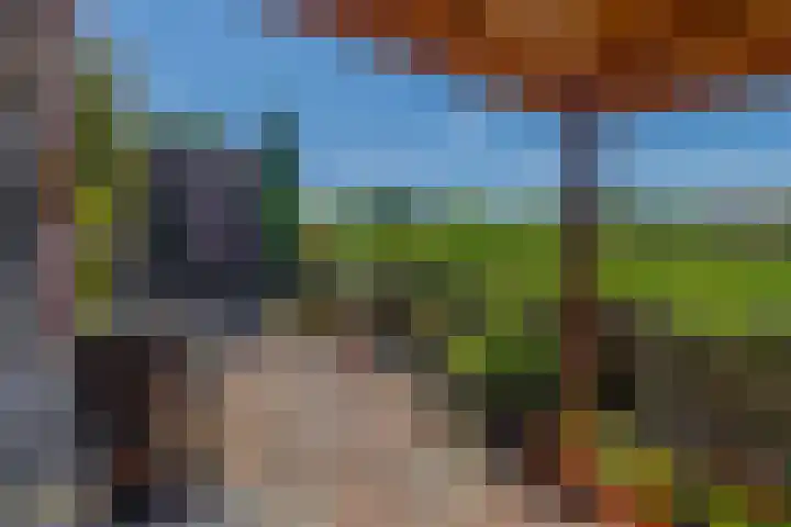 Sni-jershoaf 10 Lomm thumbnail 20