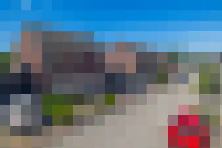 Sni-jershoaf 10 Lomm thumbnail 21