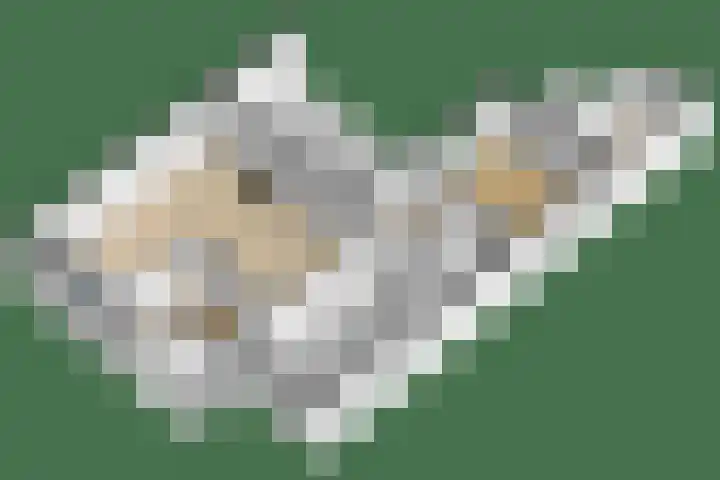 Sni-jershoaf 10 Lomm thumbnail 26