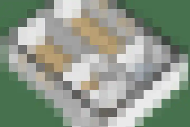 Sni-jershoaf 10 Lomm thumbnail 27