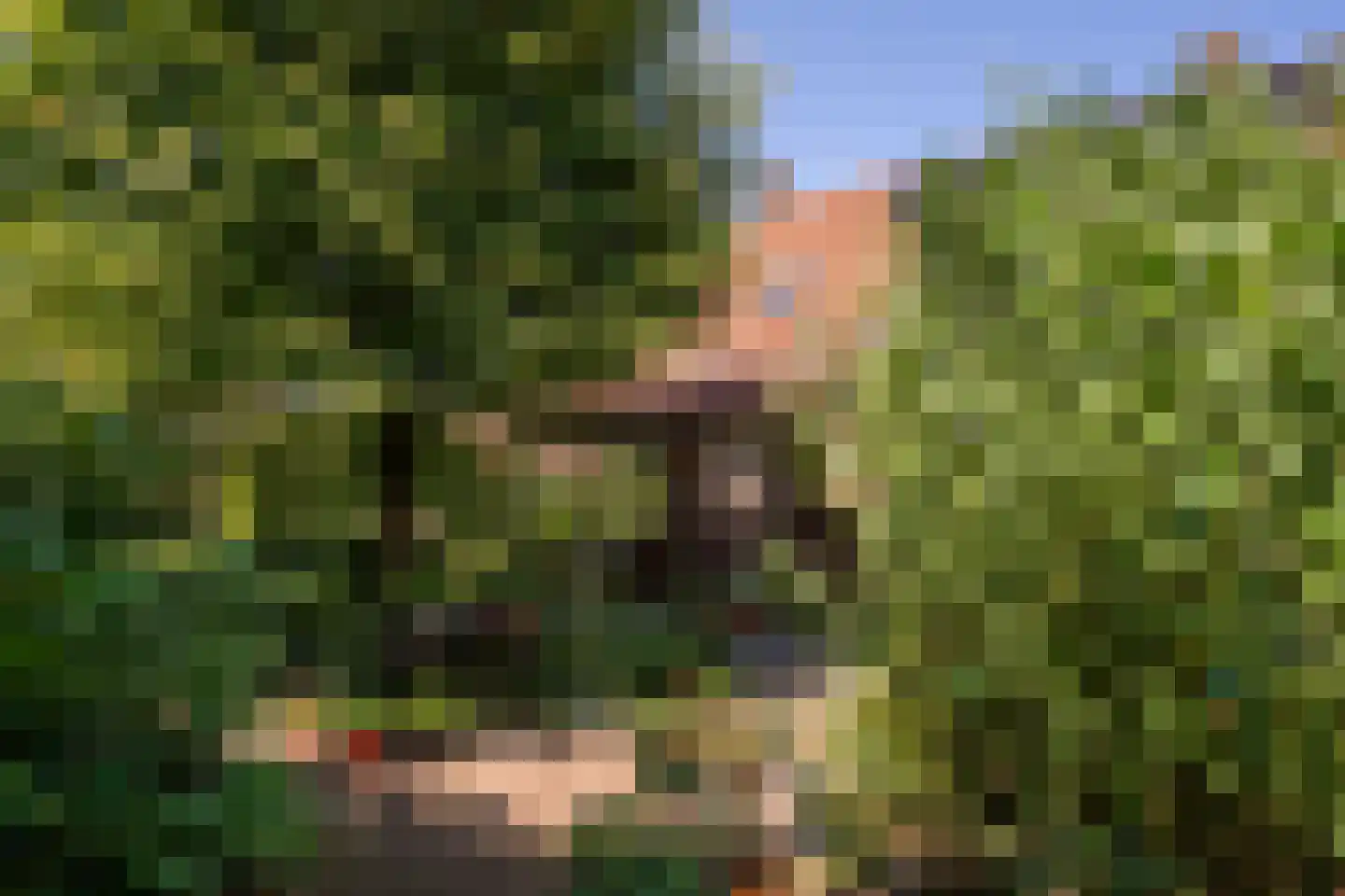 Sniederslaan 131 Bladel thumbnail 48