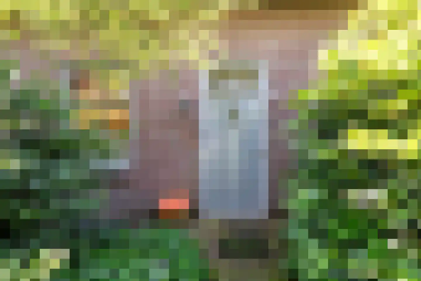 Sniederslaan 131 Bladel thumbnail 5