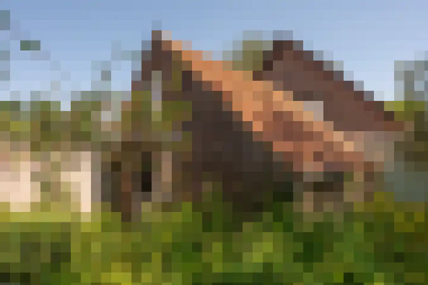 Sniederslaan 131 Bladel thumbnail 50