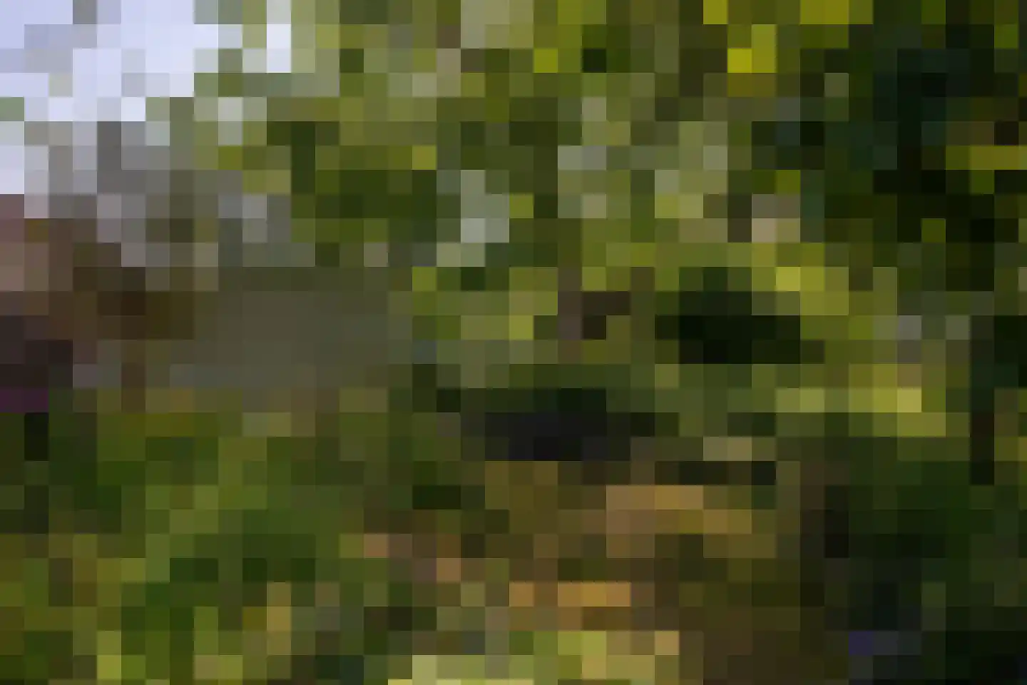 Sniederslaan 131 Bladel thumbnail 52