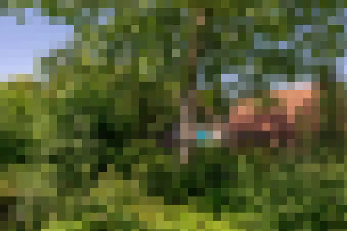 Sniederslaan 131 Bladel thumbnail 53