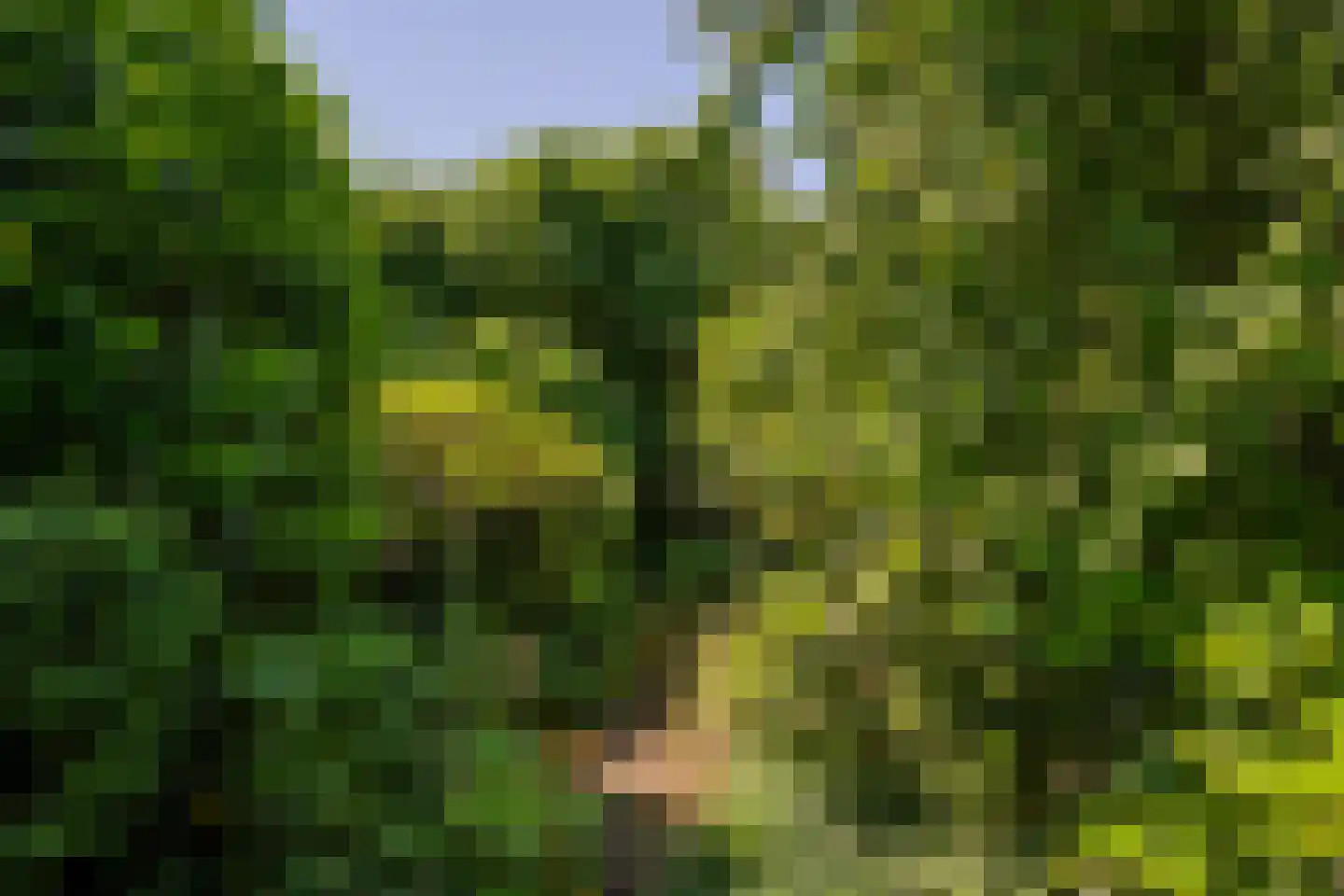 Sniederslaan 131 Bladel thumbnail 54