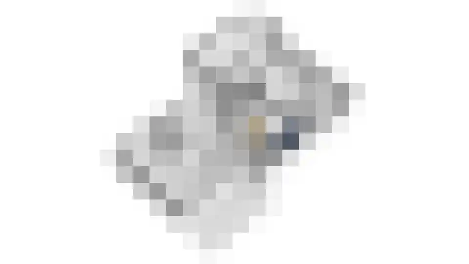 Sniederslaan 131 Bladel thumbnail 61