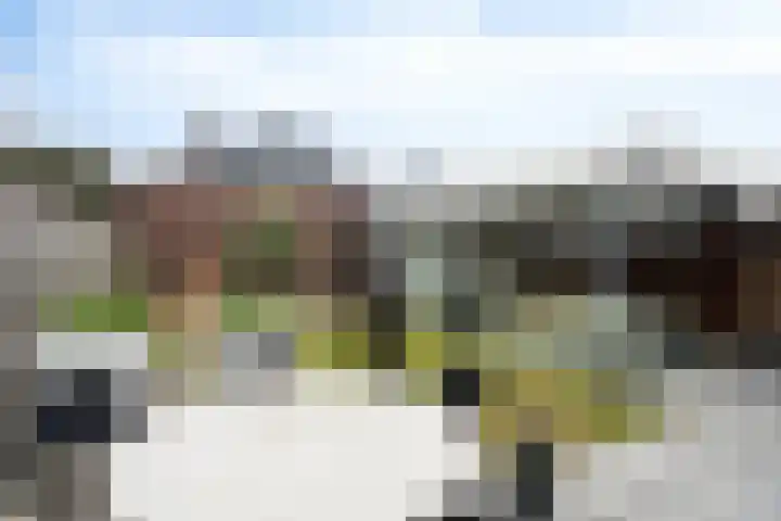 Sniederslaan 14 Valkenswaard thumbnail 21