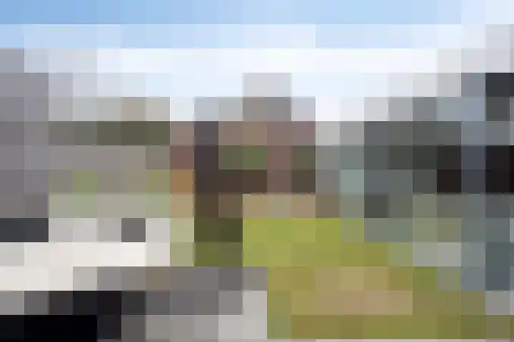 Sniederslaan 14 Valkenswaard thumbnail 24