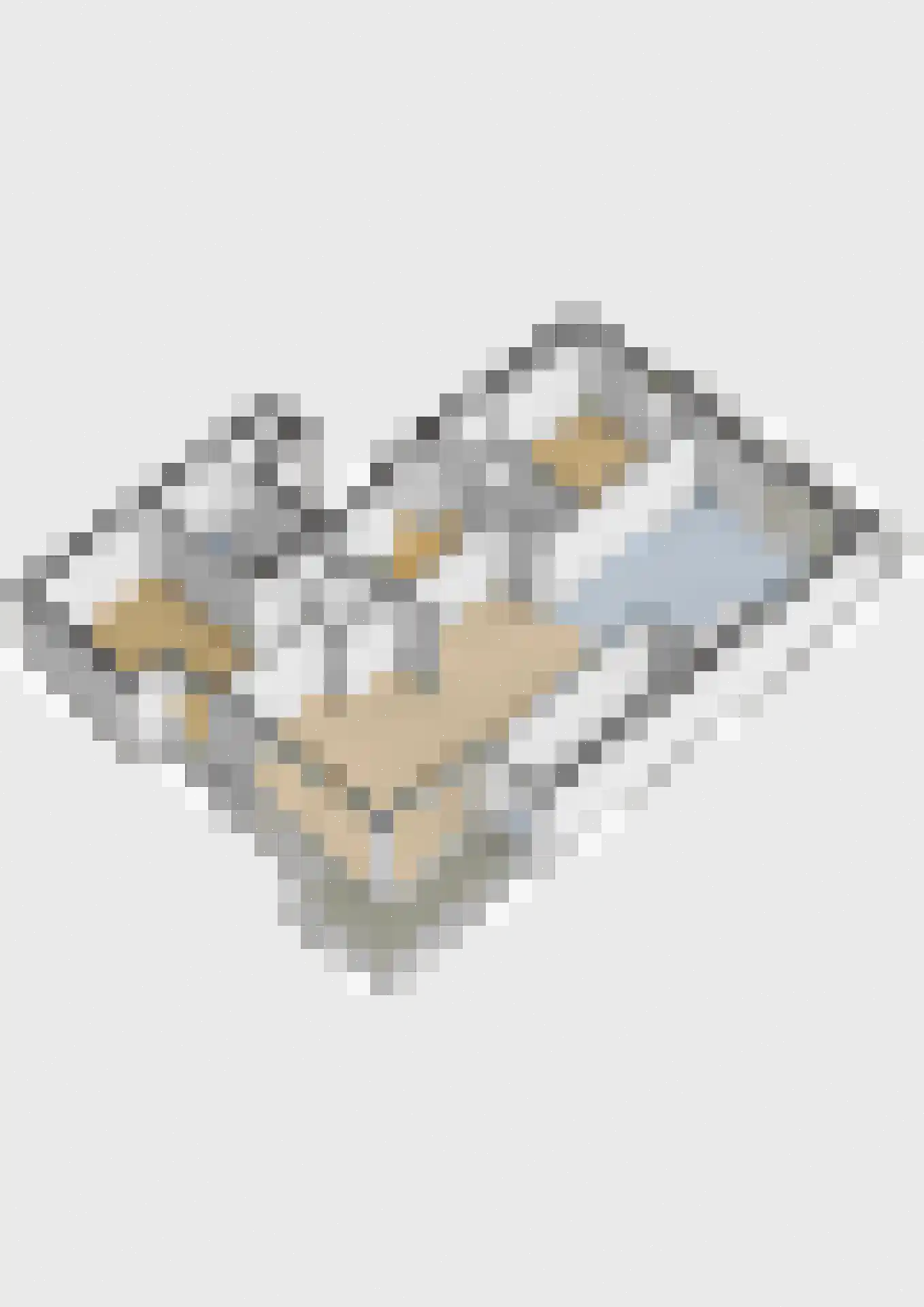 Sniederslaan 5 C Bladel thumbnail 30