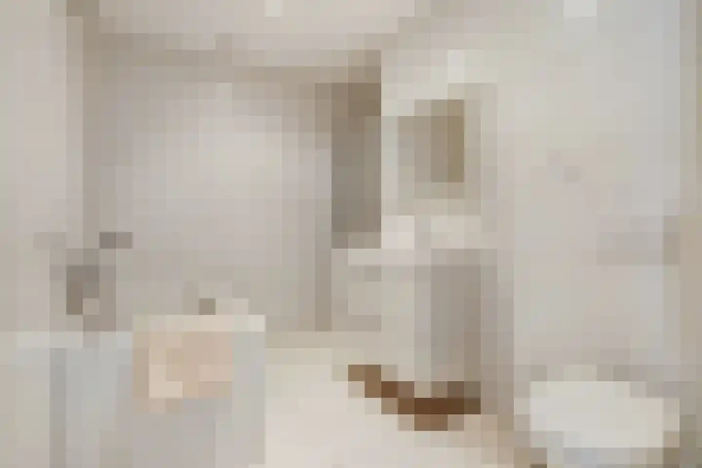 Sniederslaan 5 C Bladel thumbnail 32
