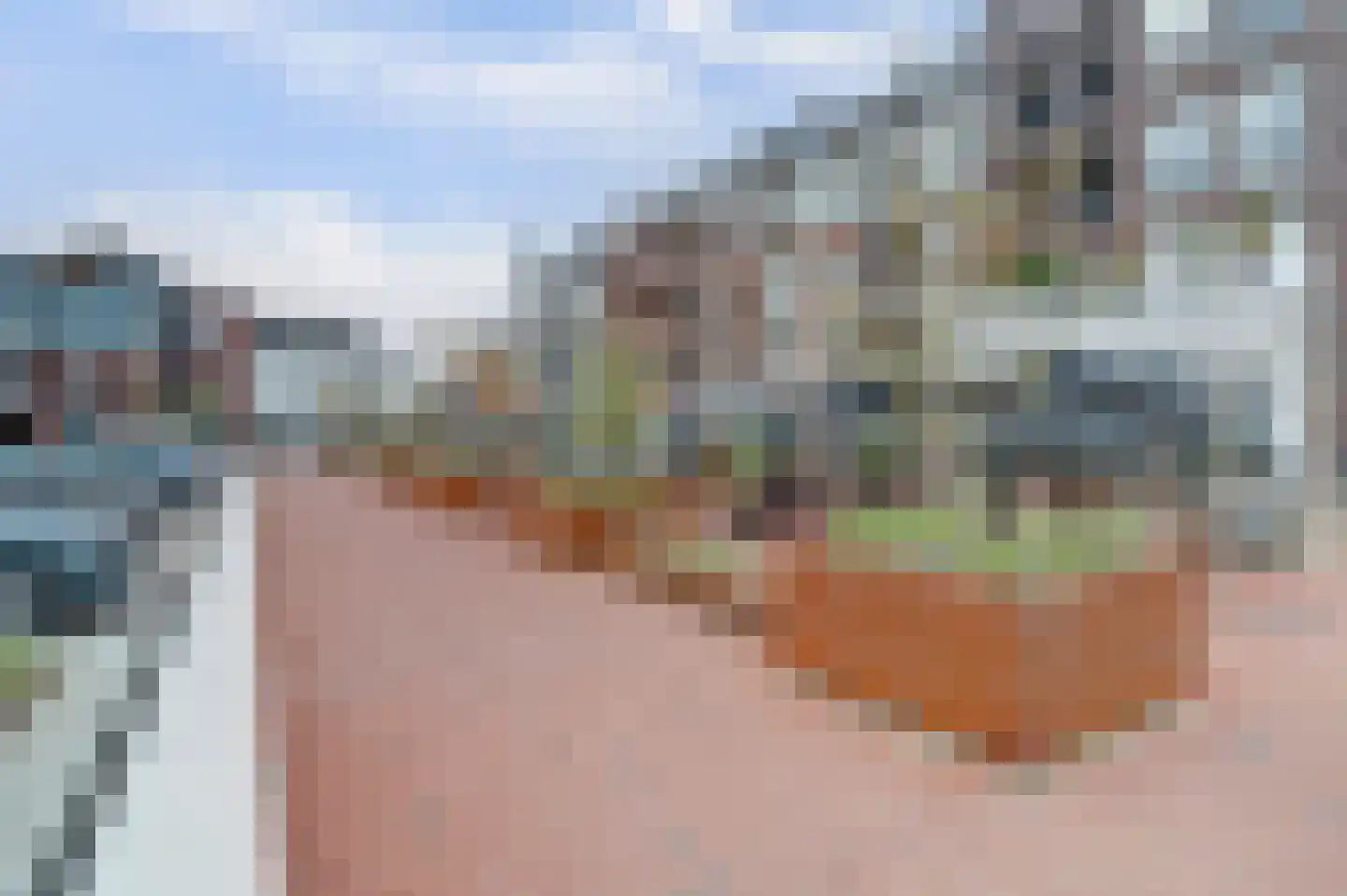 Sniederslaan 5 C Bladel thumbnail 45