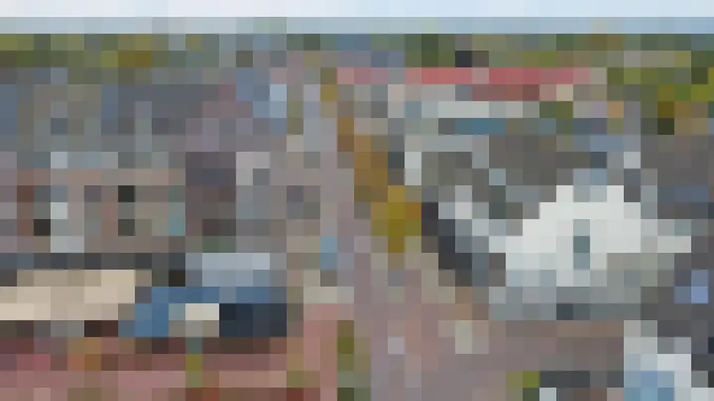 Sniederslaan 5 C Bladel thumbnail 48