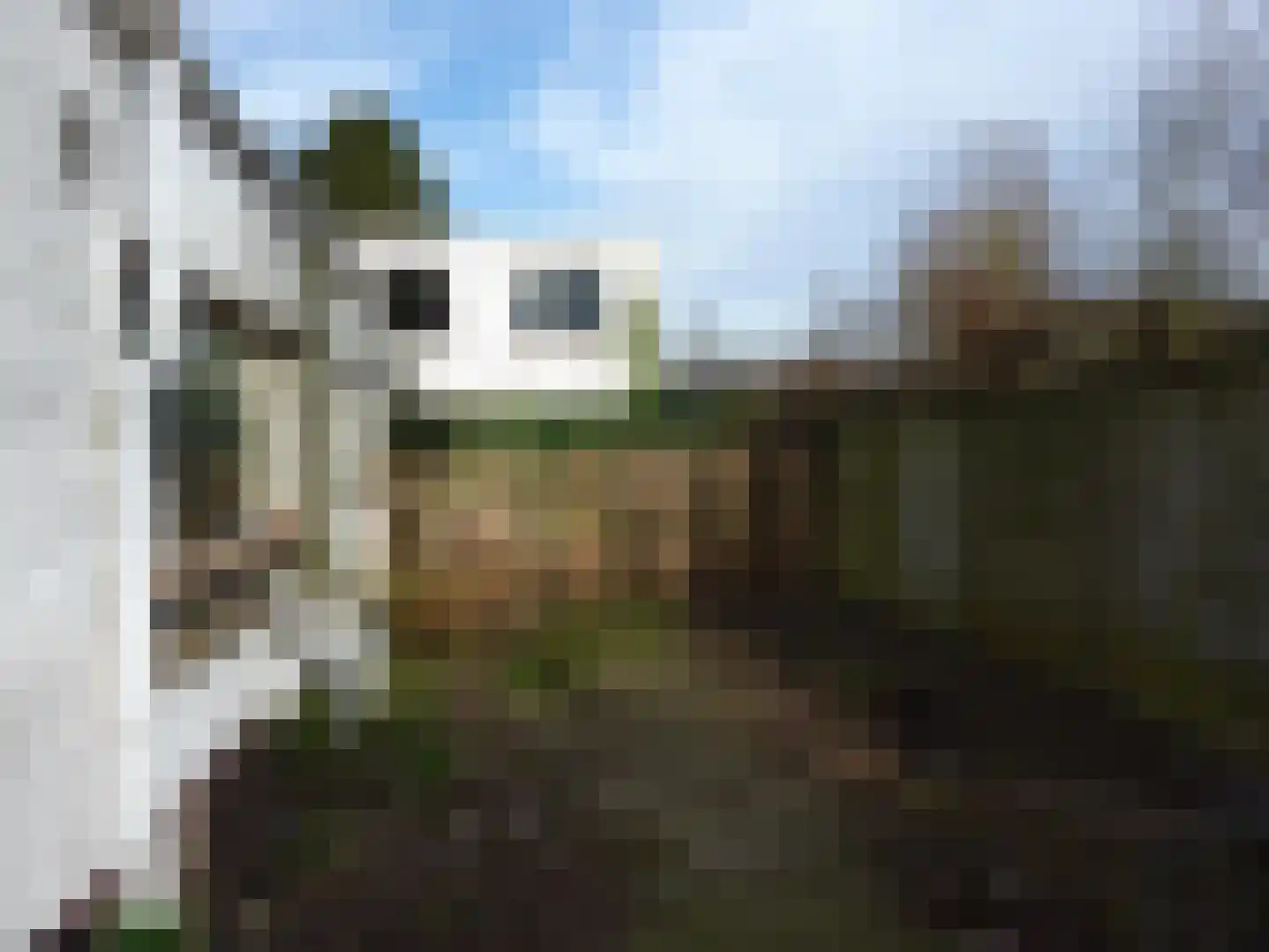 Sniederslaan 76 Bladel thumbnail 9