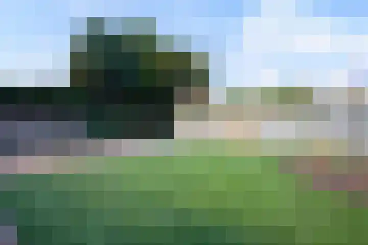 Sniederslaan 92 A Bladel thumbnail 27