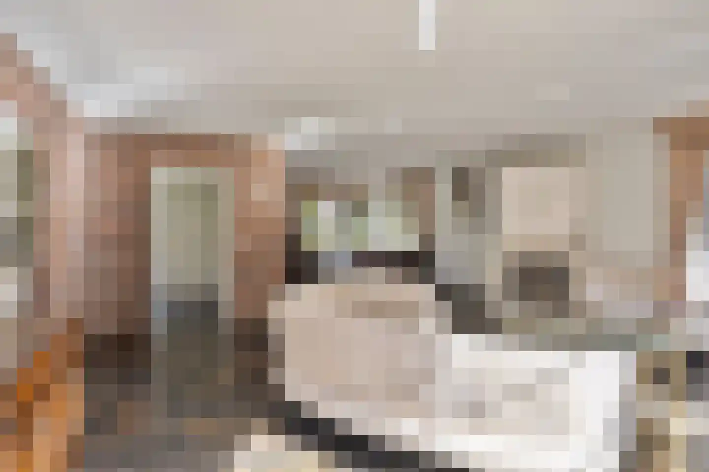 Sniedersweide 24 Aalten thumbnail 13