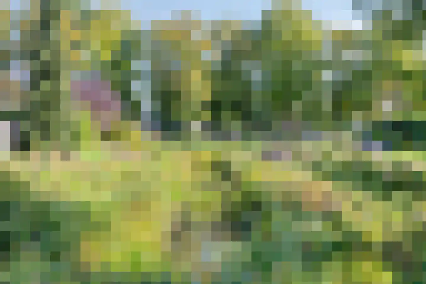 Sniedersweide 24 Aalten thumbnail 47