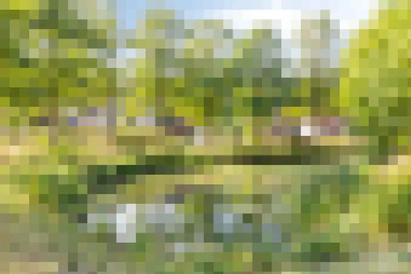 Sniedersweide 24 Aalten thumbnail 48
