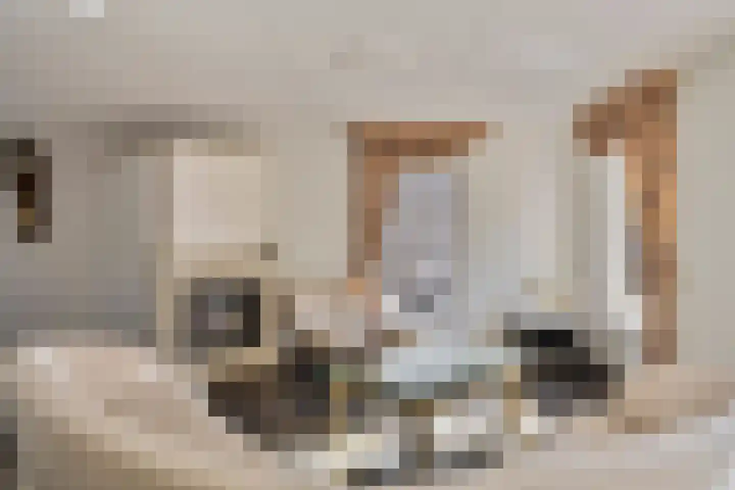 Sniedersweide 24 Aalten thumbnail 9