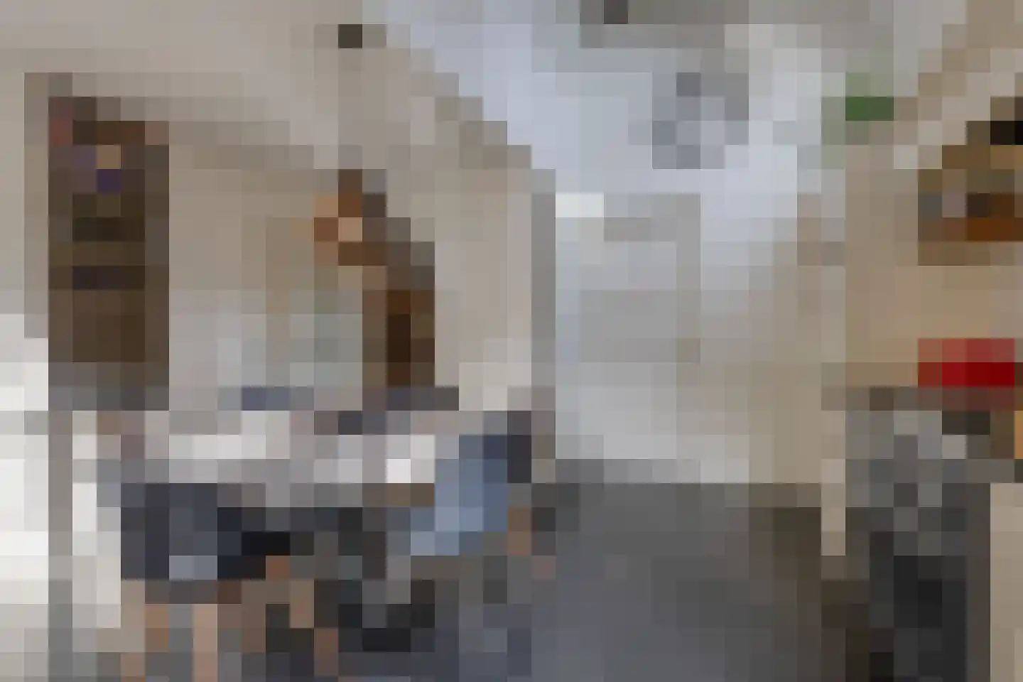 Sniedersweide 28 Aalten thumbnail 13