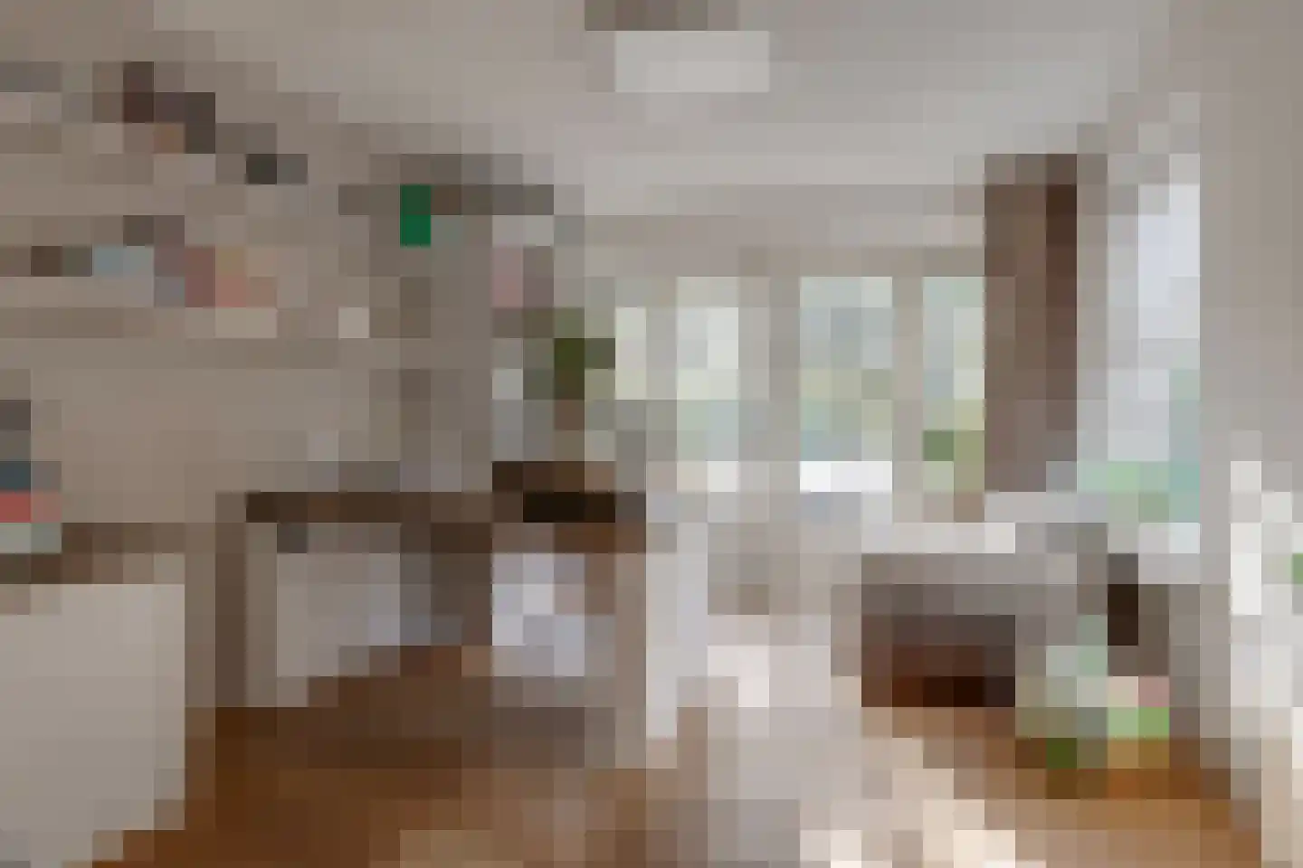 Sniedersweide 28 Aalten thumbnail 20