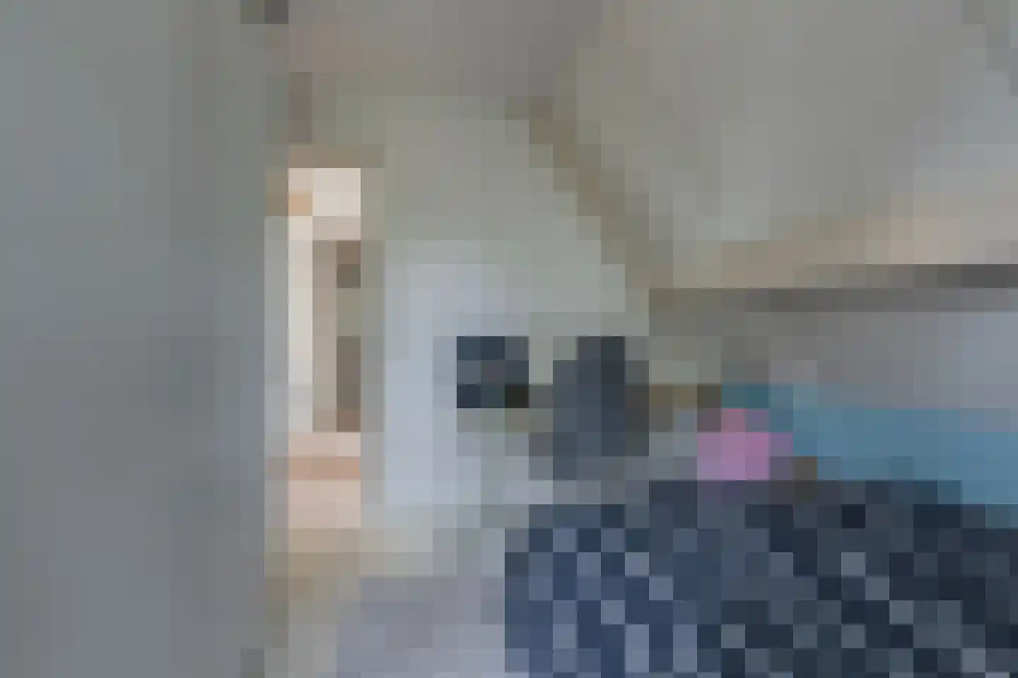 Sniedersweide 28 Aalten thumbnail 33