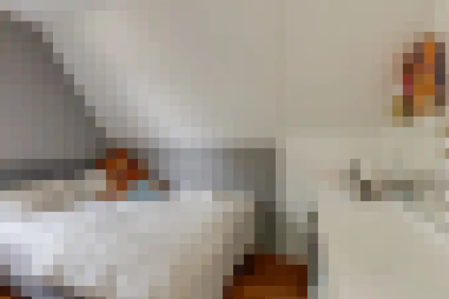 Sniedersweide 28 Aalten thumbnail 35