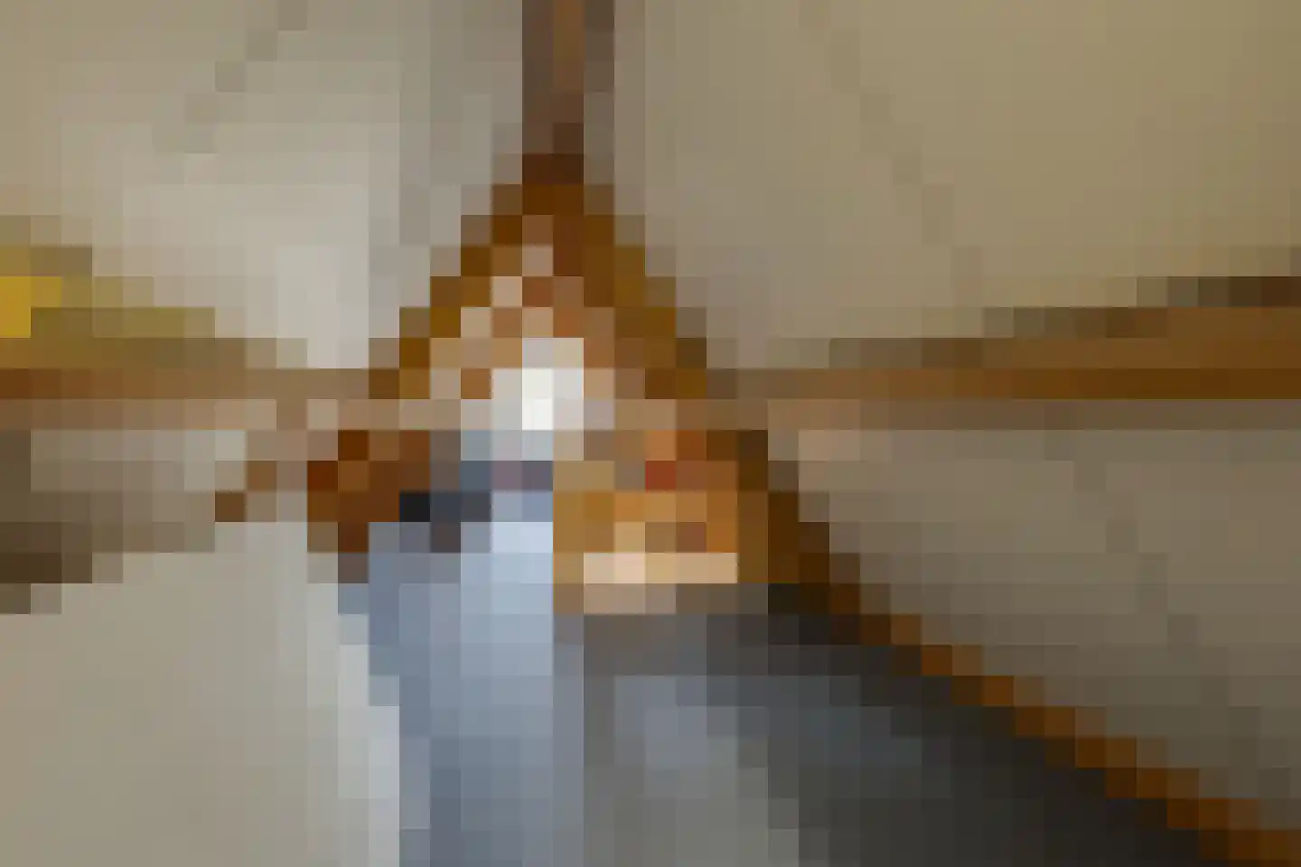 Sniedersweide 28 Aalten thumbnail 39