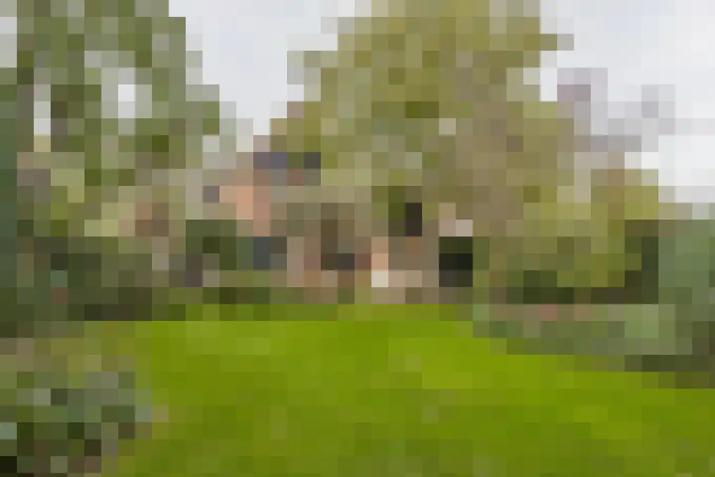 Sniedersweide 28 Aalten thumbnail 44