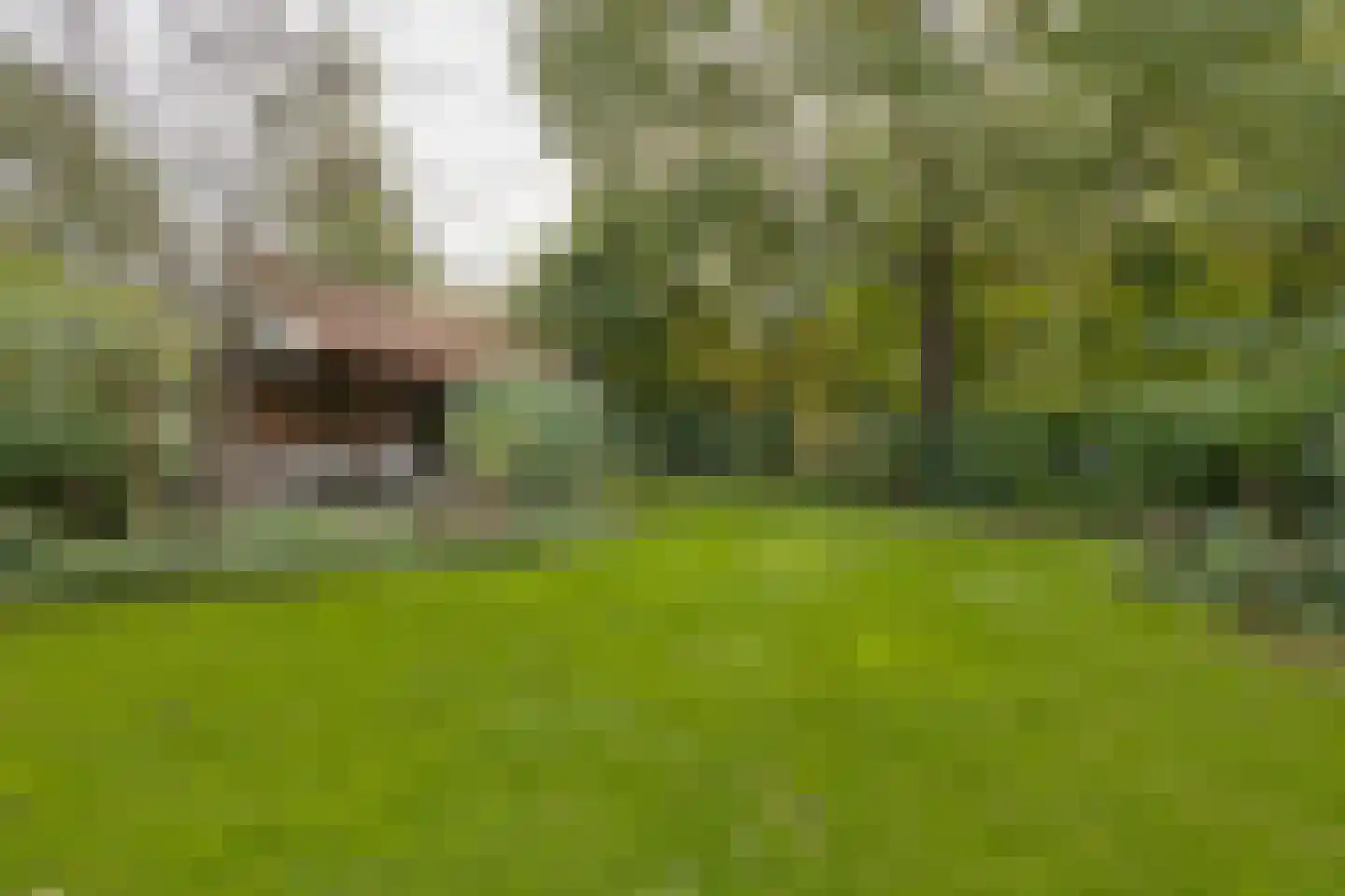 Sniedersweide 28 Aalten thumbnail 50