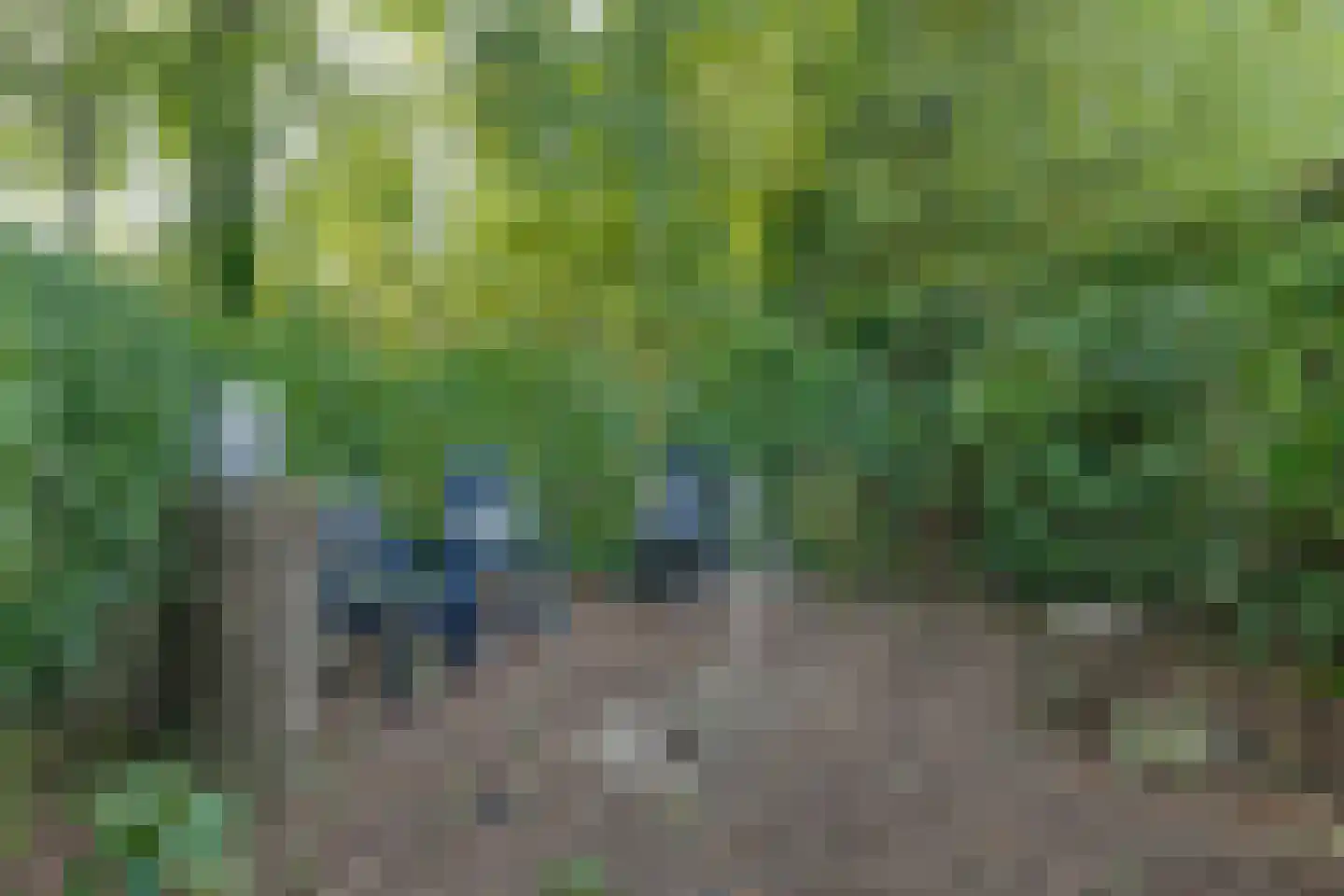 Sniedersweide 28 Aalten thumbnail 51