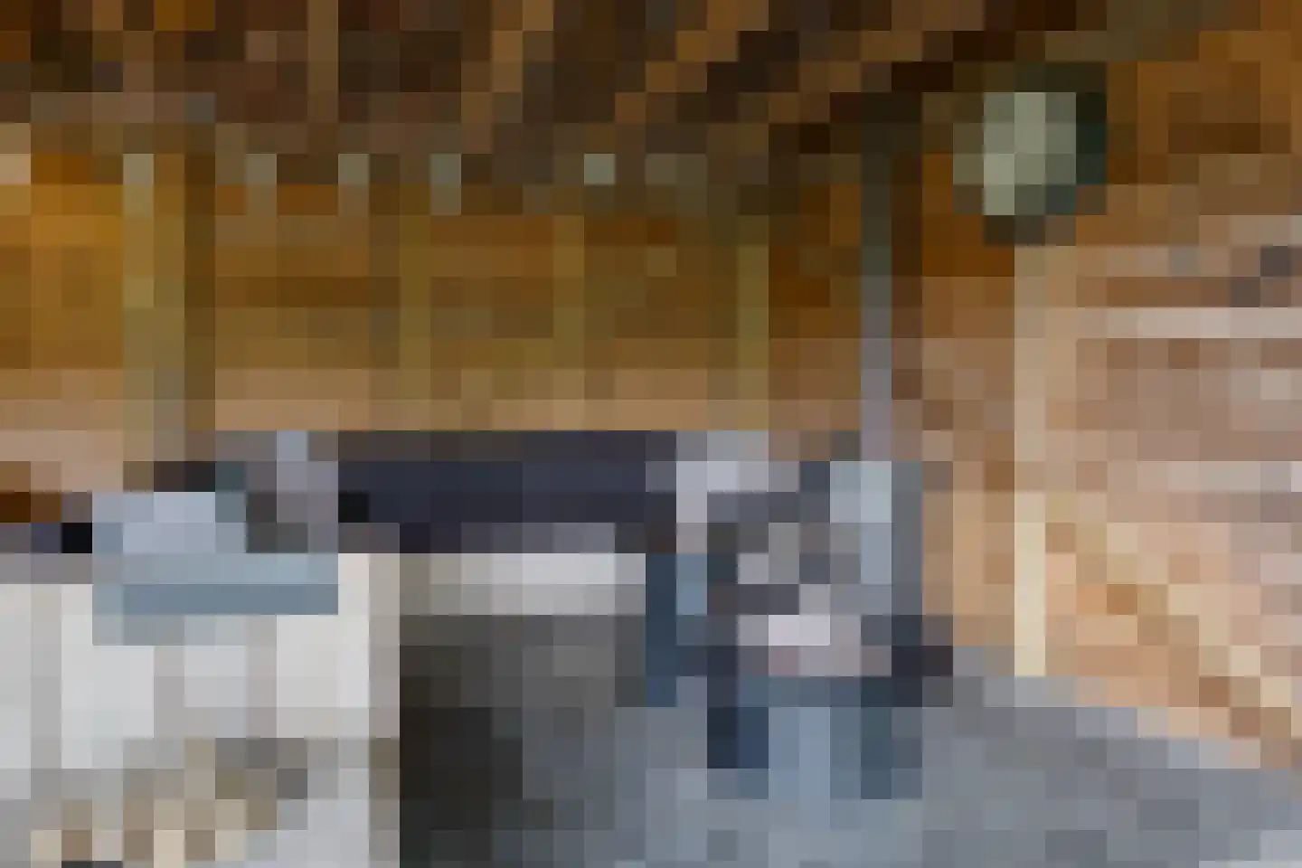 Sniedersweide 28 Aalten thumbnail 52