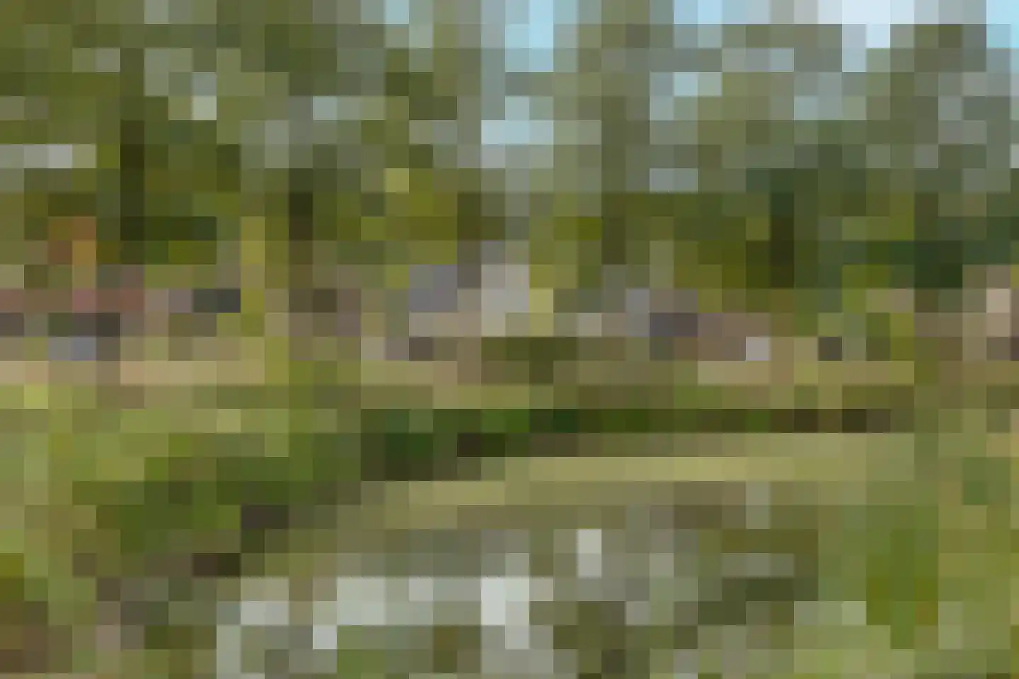 Sniedersweide 28 Aalten thumbnail 55