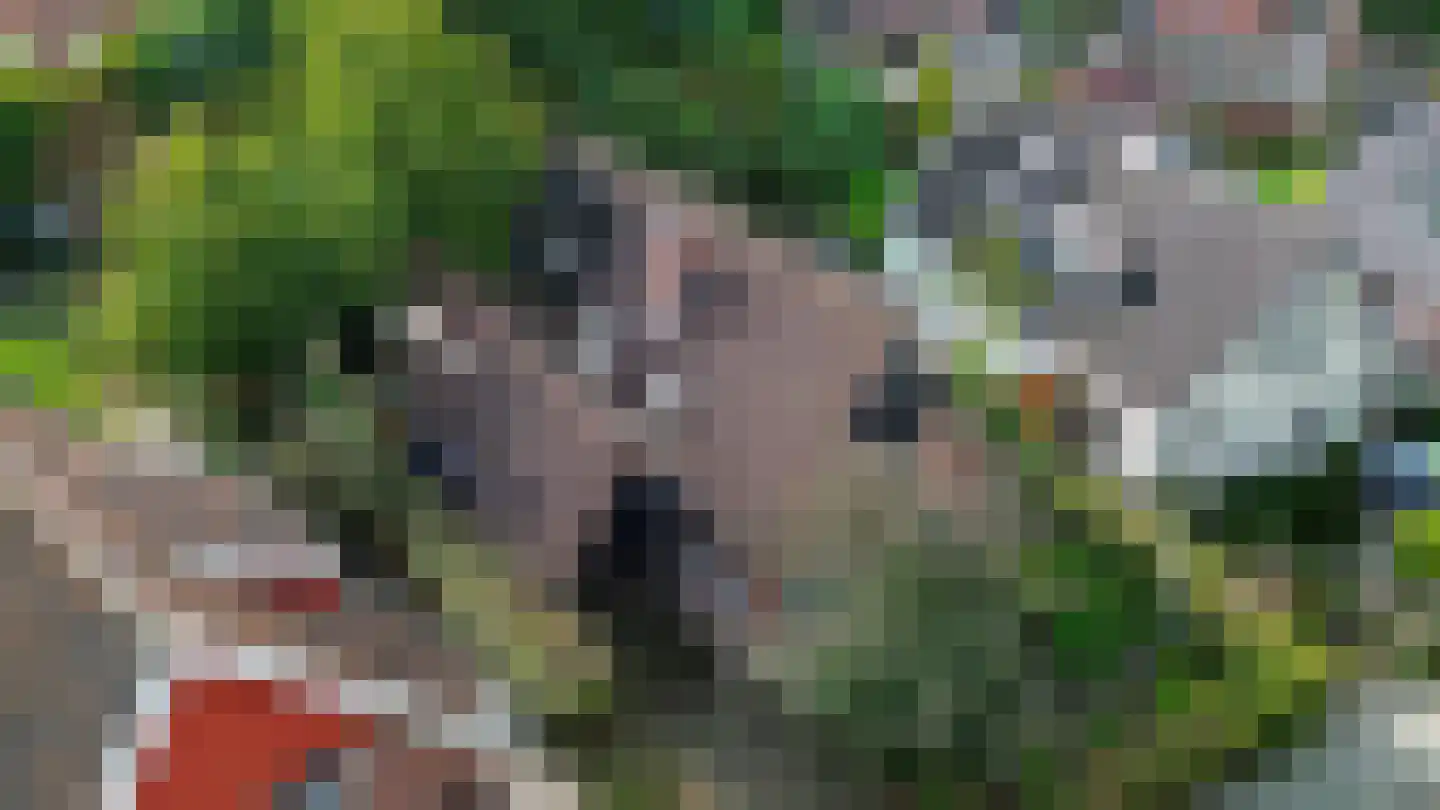 Sniedersweide 28 Aalten thumbnail 56