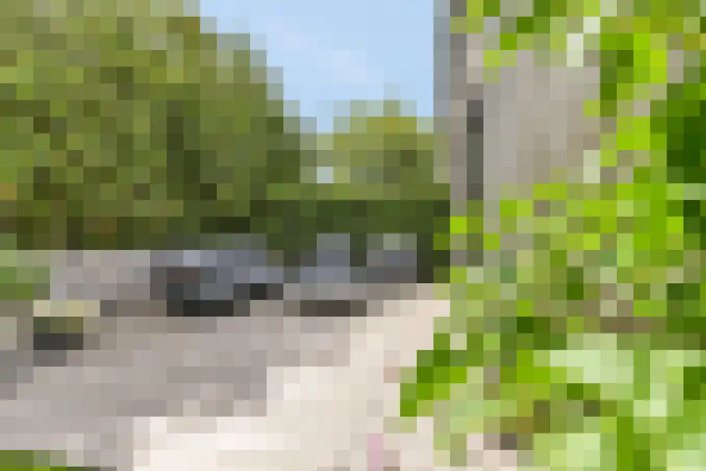 Snijdersberg 11 Amersfoort thumbnail 8