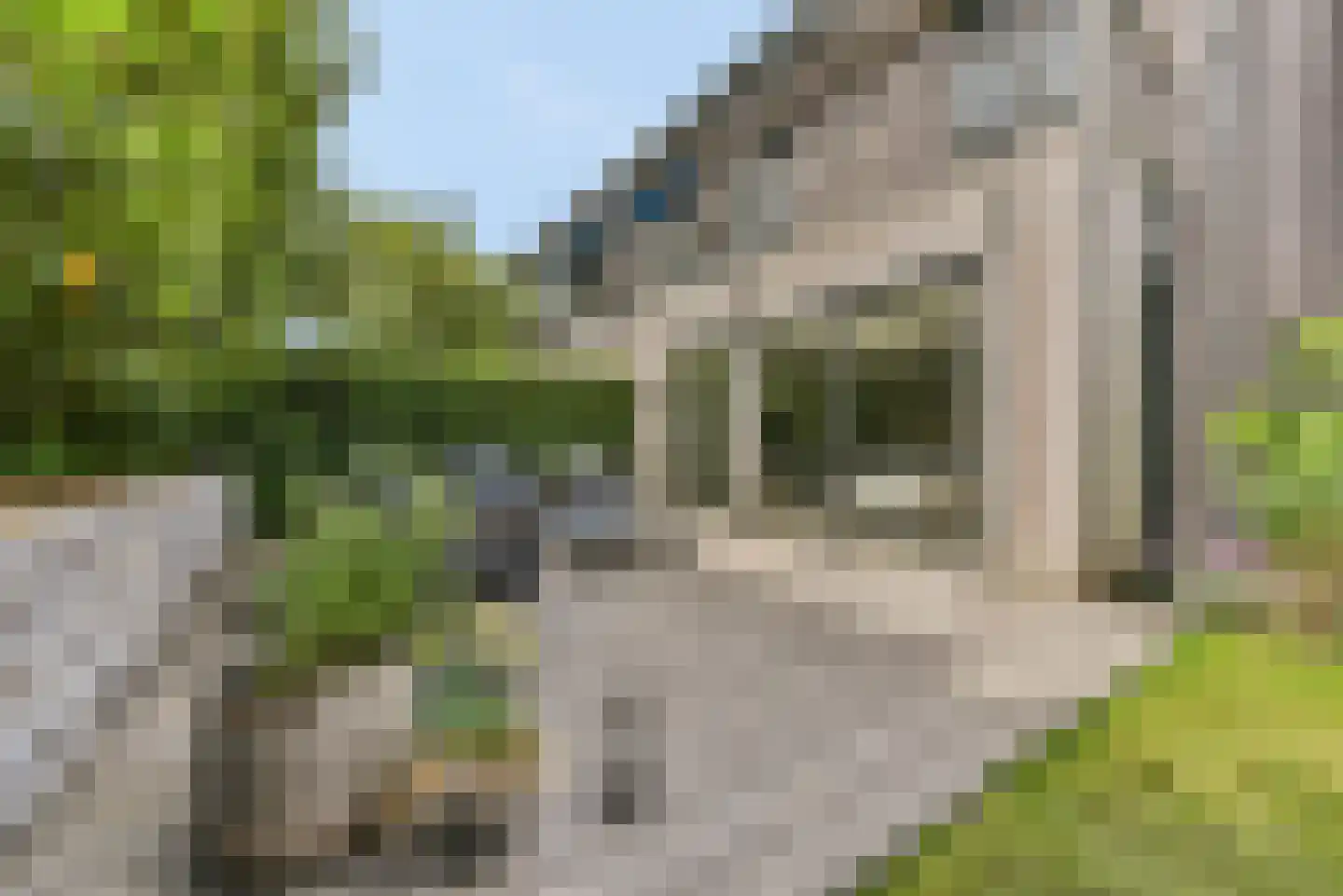 Snijdersberg 11 Amersfoort thumbnail 9